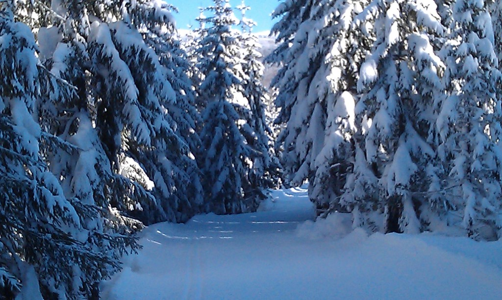 Besinnliches, schönes Weihnachtsfest